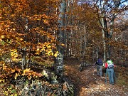 13 La stradetta agrosilvopastorale si restringe protetta a monte da palizzate protettive di legno